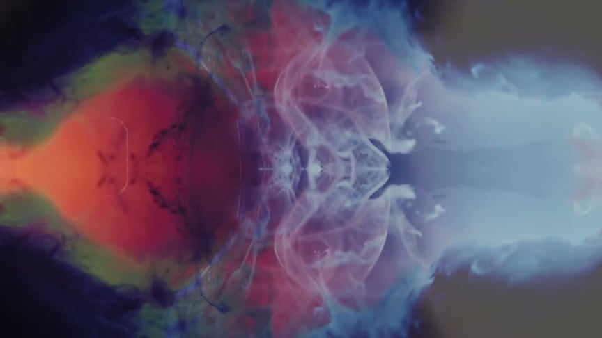 Dear Gravity & Be Still The Earth ●● a memory (Official Video)