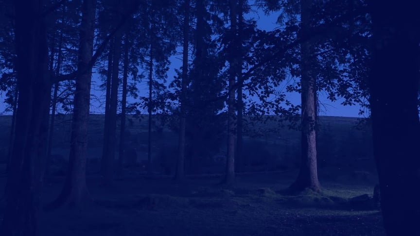 Dear Gravity • Motionless (Official Video)