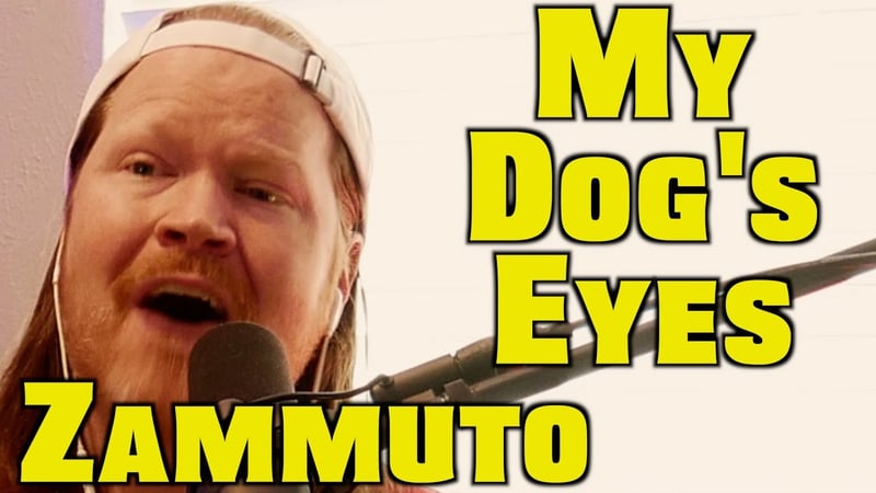 My Dog's Eyes - Zammuto (Toy Jam Cover by Faith in Foxholes)