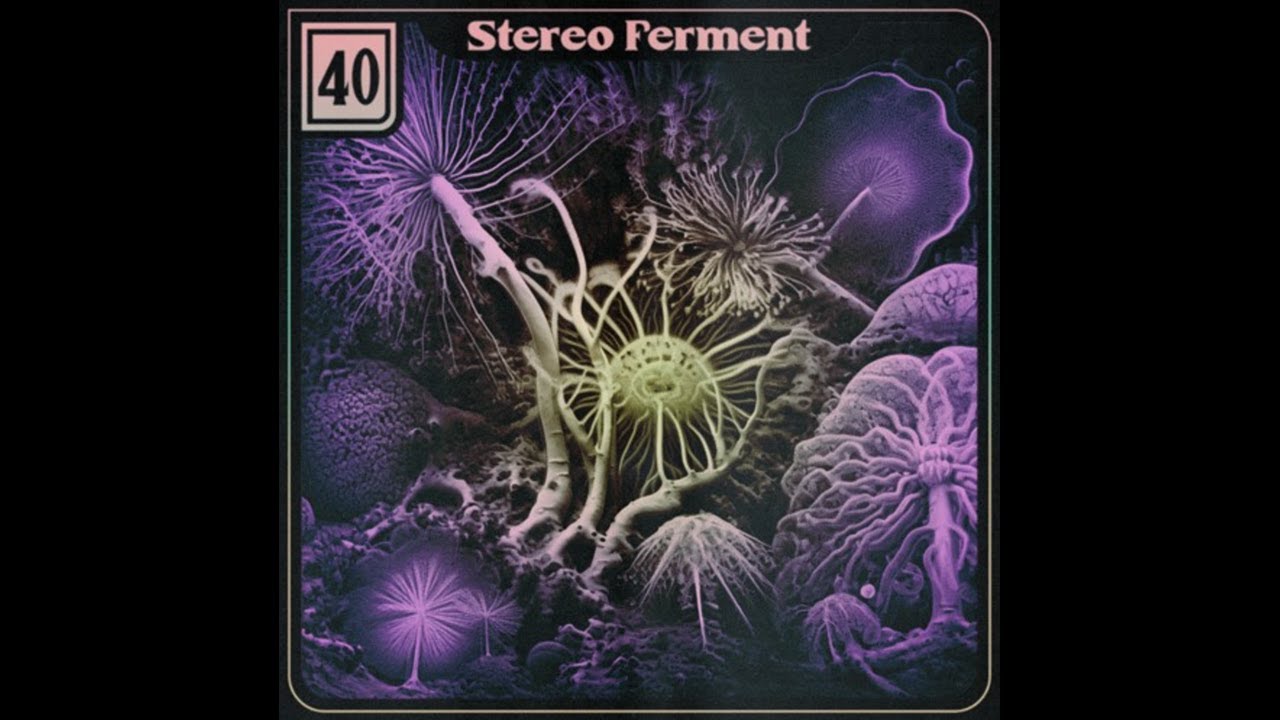 Stereo Ferment #40: edits, tropical, boogie, balearic