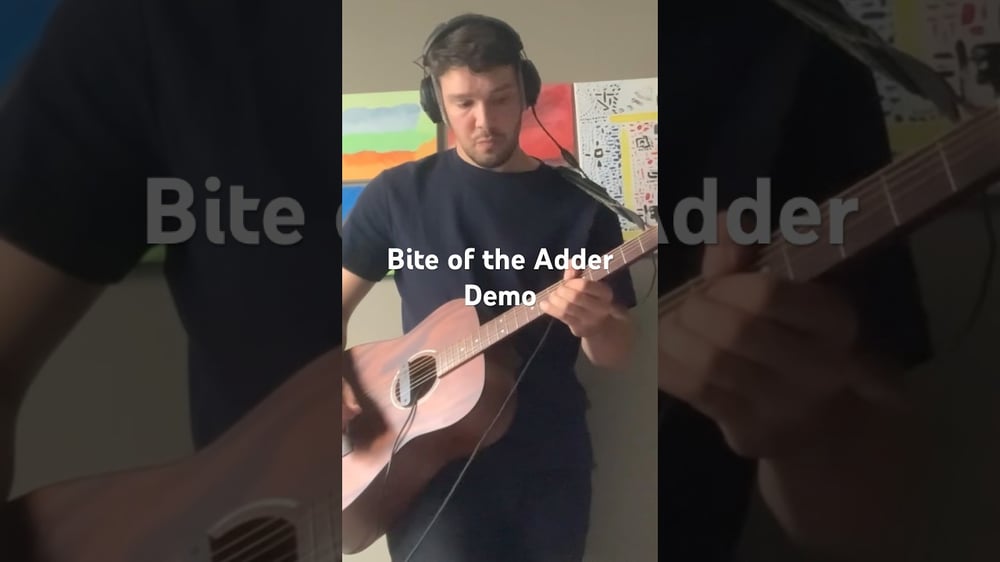 Live guitar demo of Bite of the Adder