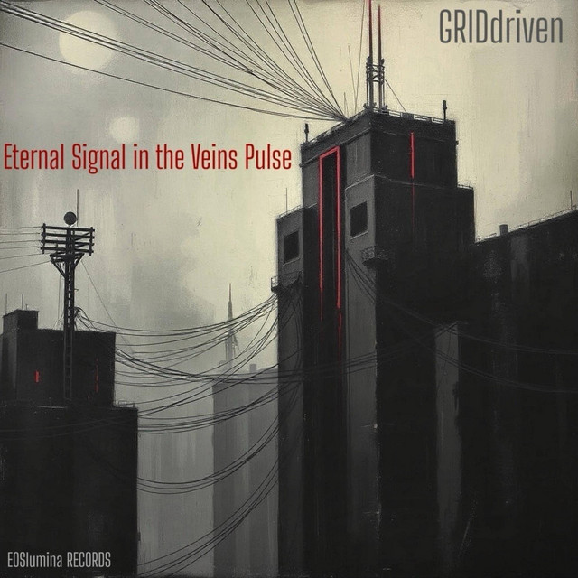 Eternal Signal in the Veins Pulse