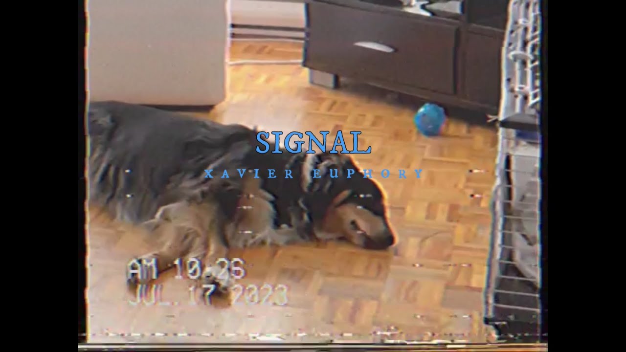 Xavier Euphory - SIGNAL (HISTRION, Vol. 3)