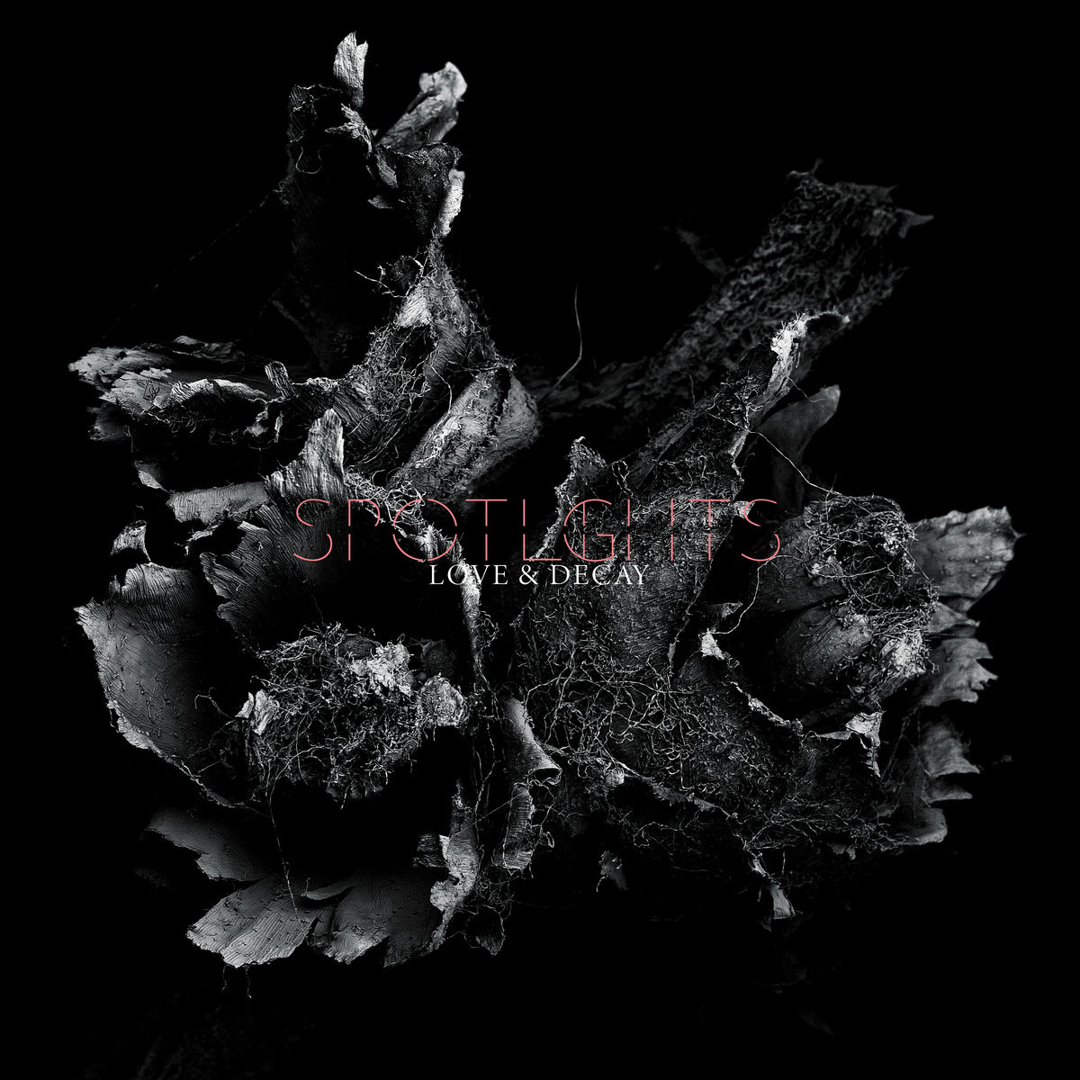 Love & Decay - Digital