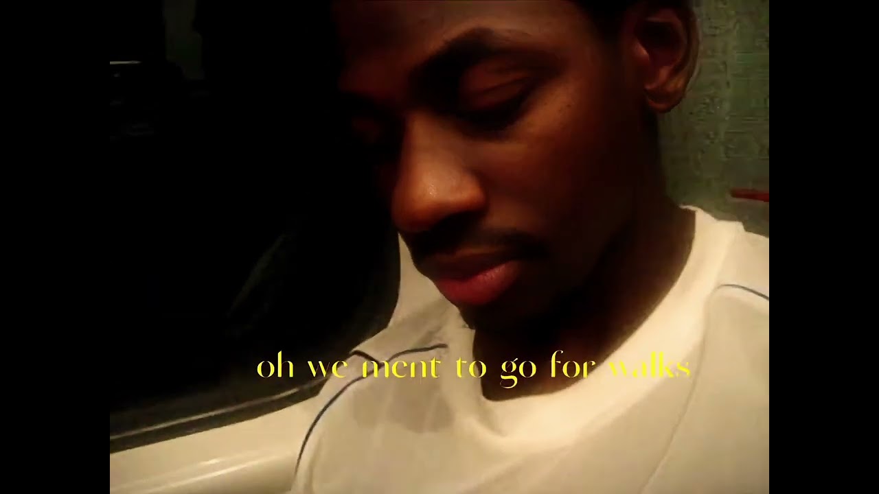 golden labrador - Wesri (Visualizer)