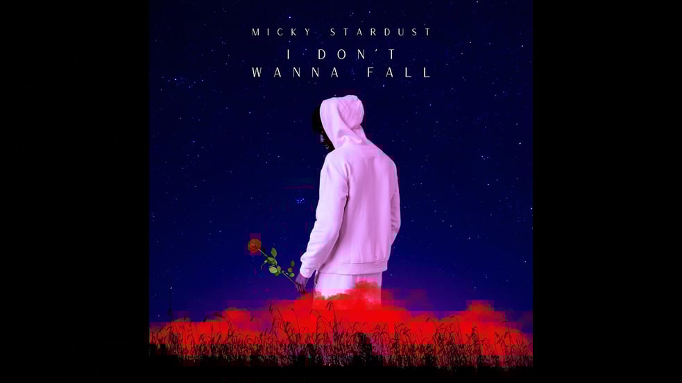 Micky Stardust - I Don't Wanna Fall #dance #edm #avicci