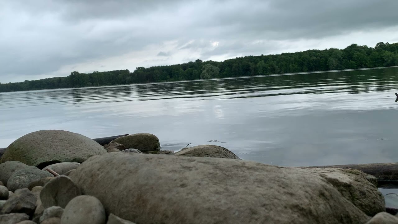 Appreciative Joy Meditation