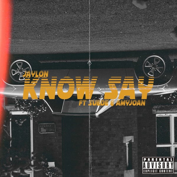 Know Say (feat. Amyjoan & Suede) image