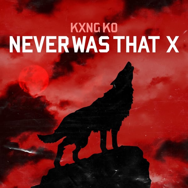 Never Was That X image