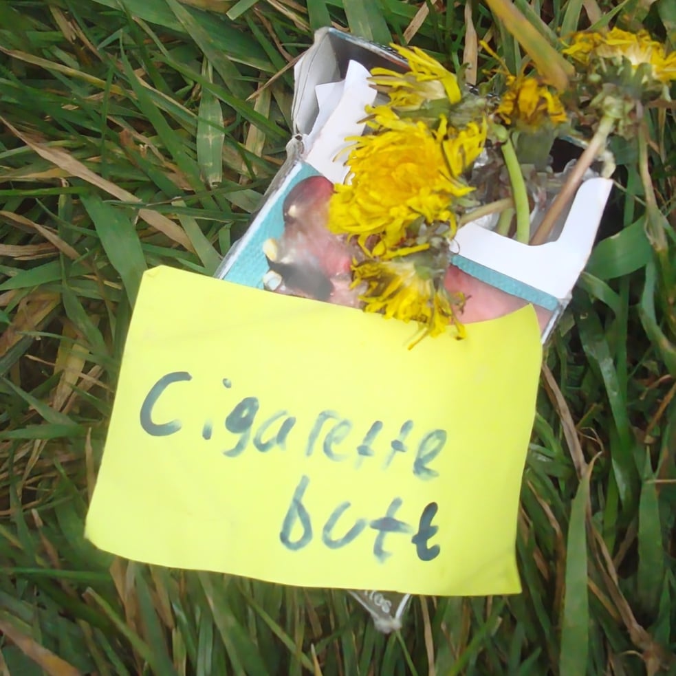 Cigarette Butt