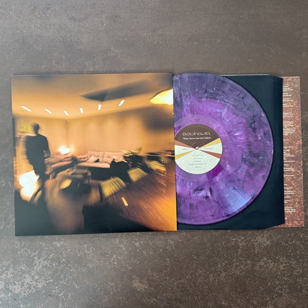 What You've Lost Isn't Failure - Limited Edition 'Eco-Mix' 12" Vinyl LP image