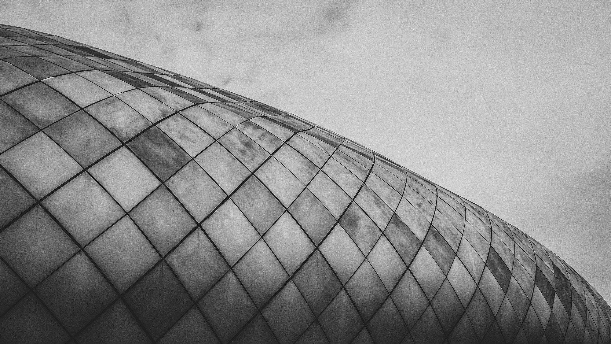 White Star Bulb Company