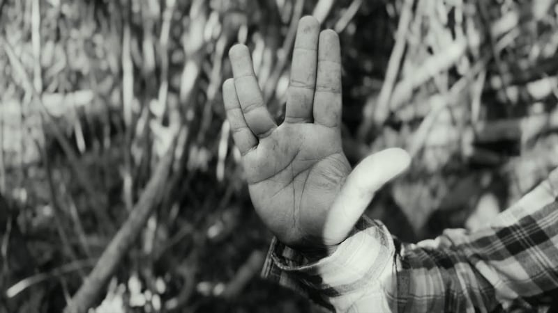 LOVE SICK COWBOY - POOF, GONE (MUSIC VIDEO)