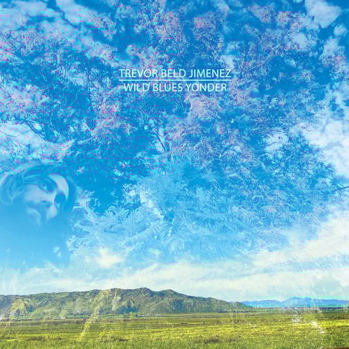 Wild Blues Yonder - Digital