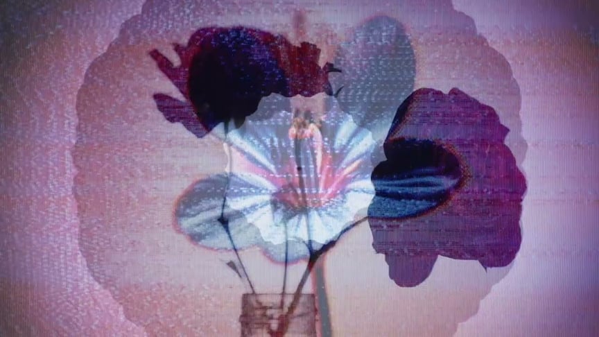 Dear Gravity & Six Missing • Emerge (Official Video)