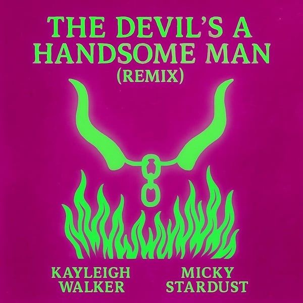 The Devils A Handsome Man (Micky Stardust Remix Extended Version) image