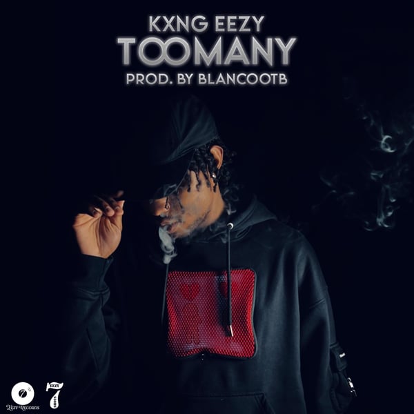 Too Many (Radio Edit) image