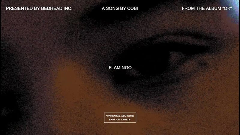 COBI * - FLAMINGO (MUSIC VIDEO)
