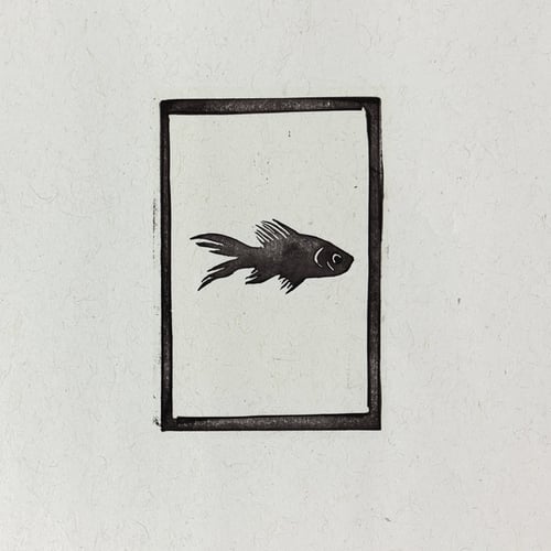 The Fish and the Bowl
