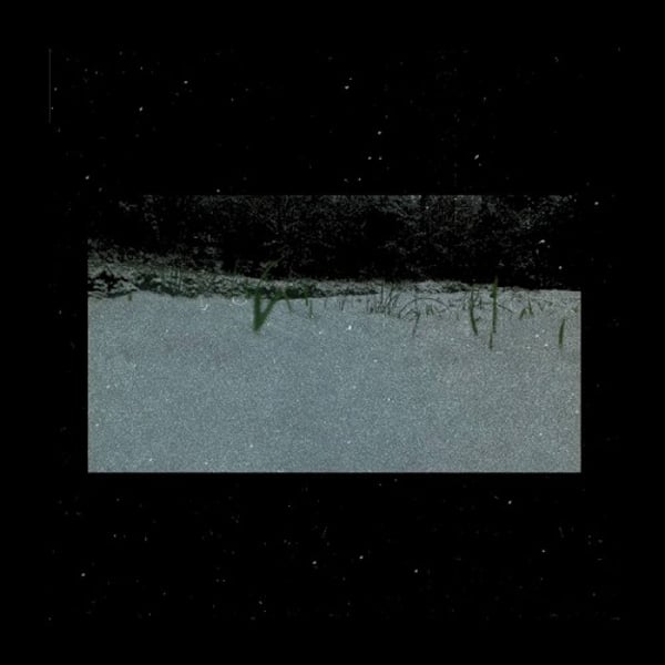 Favorable Company w/ ZØD image