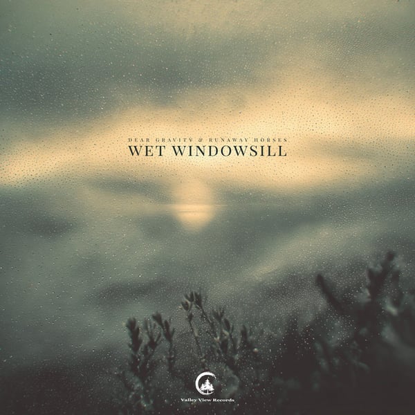 Wet Windowsill image