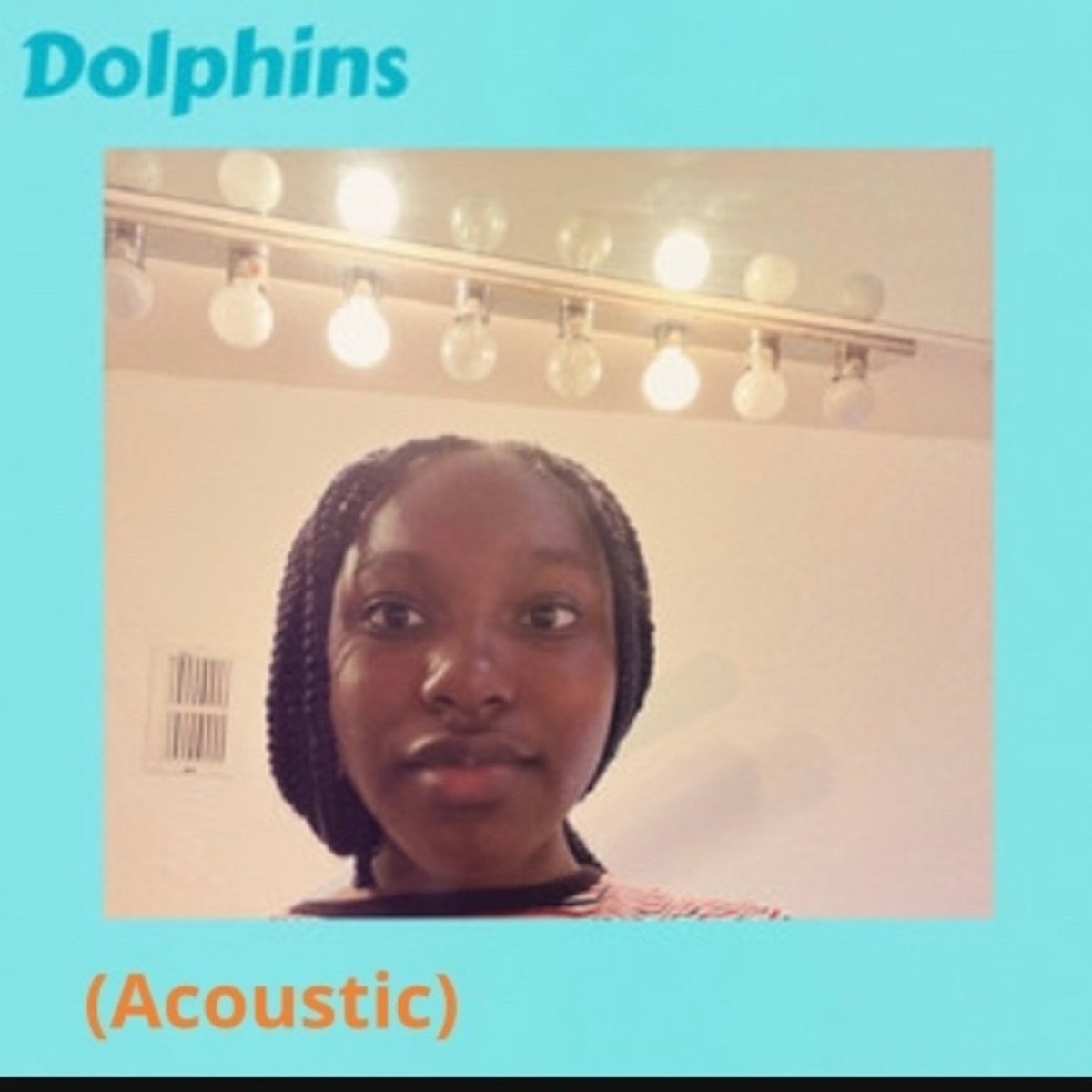 Dolphins (Acoustic)