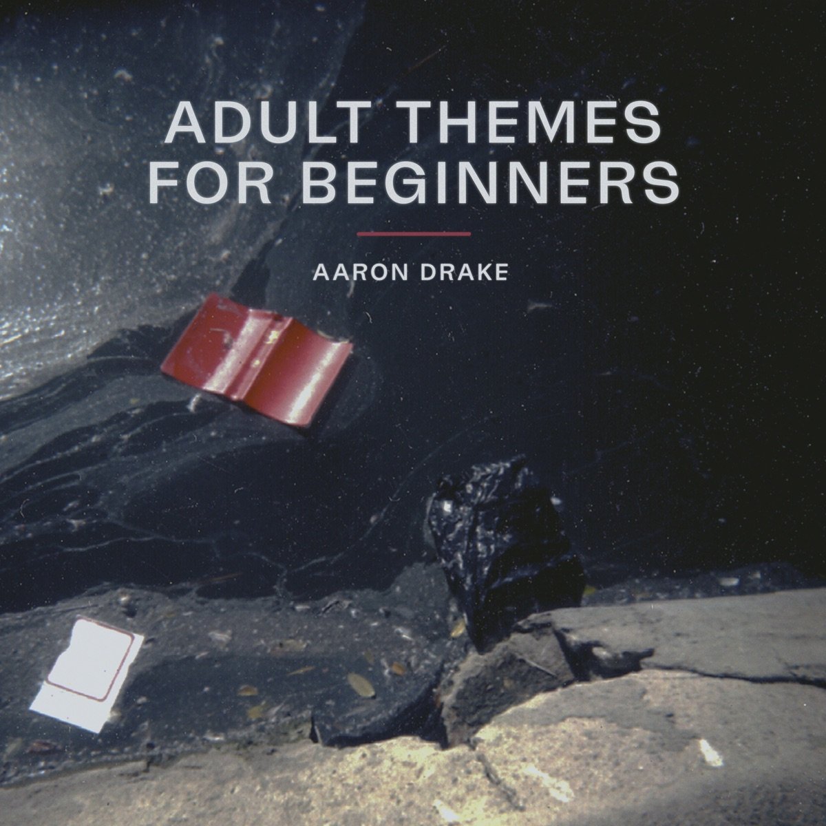 Adult Themes for Beginners