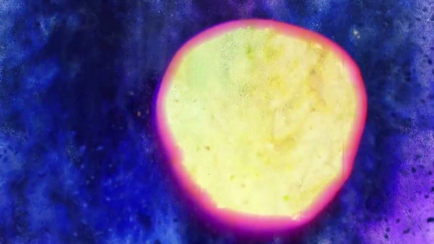 Dear Gravity ●● Palisade (Experience I) [photosensitive epilepsy warning]