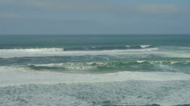 What You Take is What You Bring