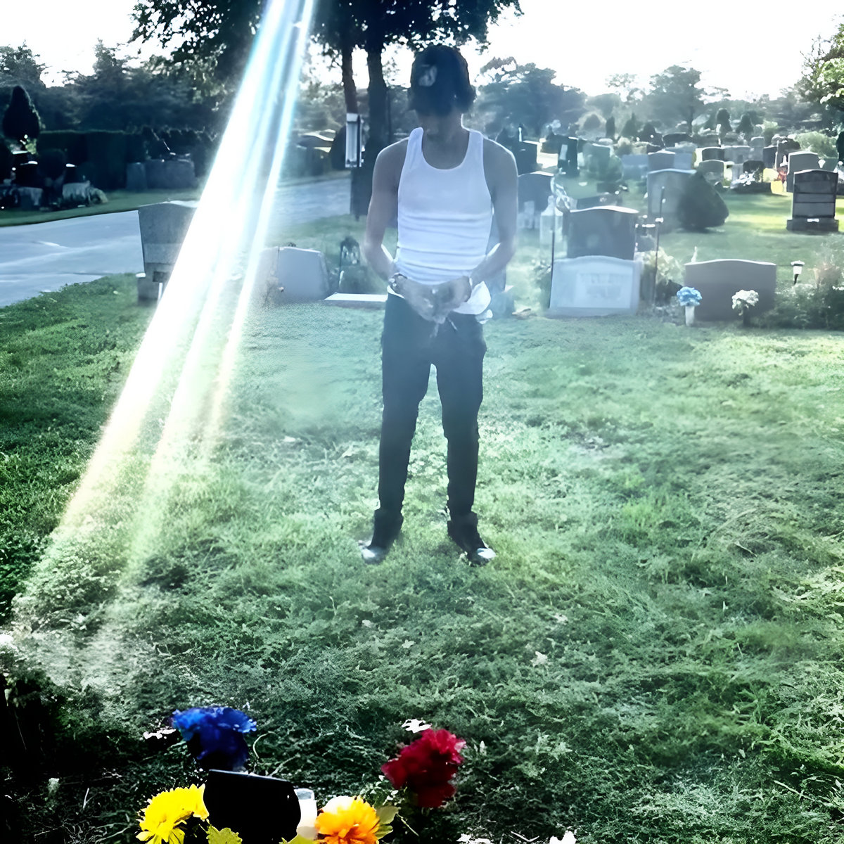 LET'S GET THE DOGS HOME - Digital