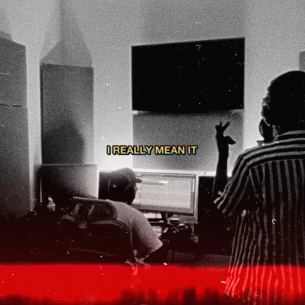 I Really Mean It image