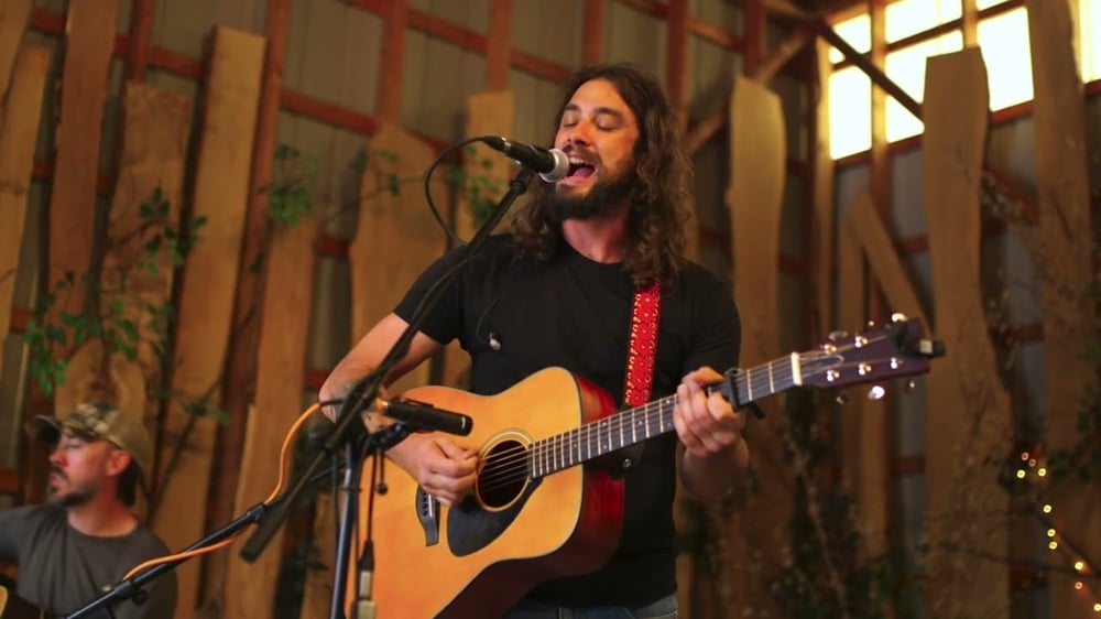 North American Wild Mountain Lion - Reverend Lee