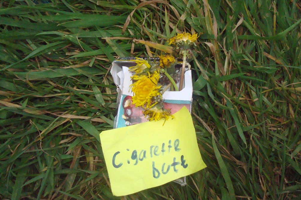 Cigarette Butt