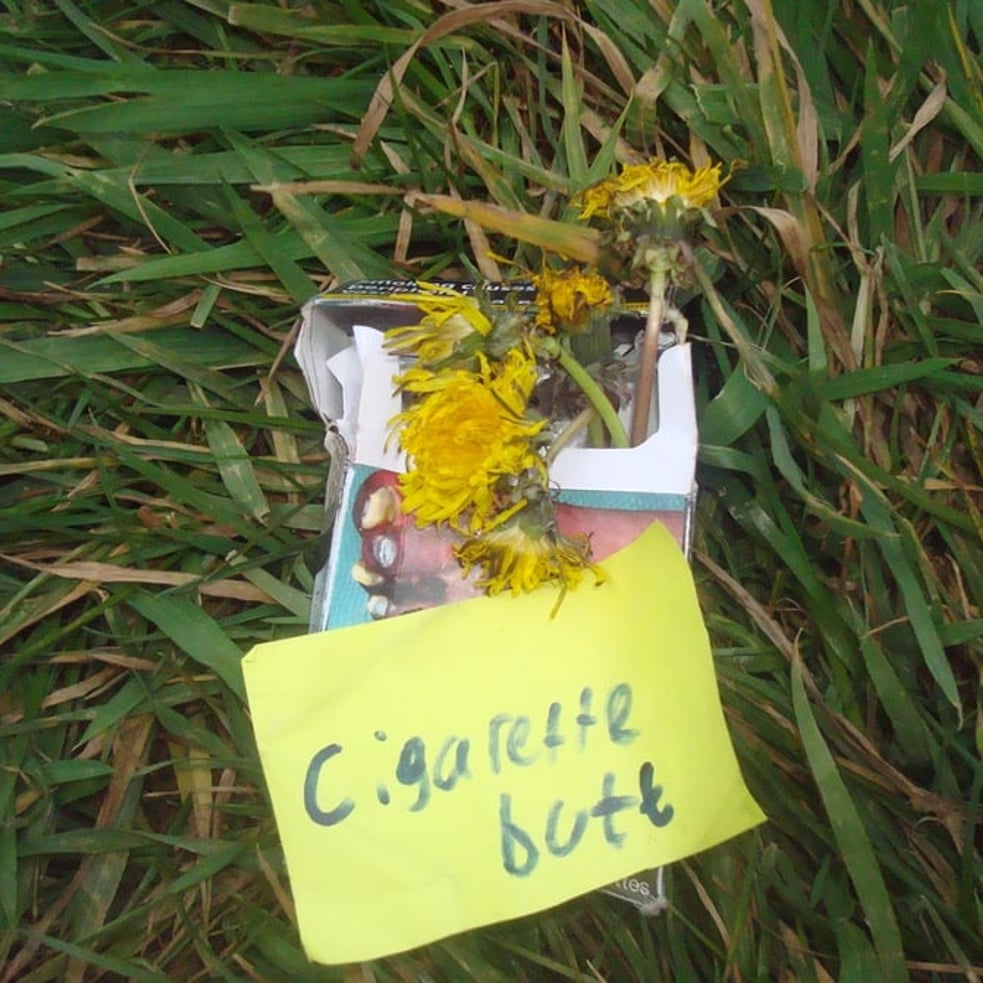 Cigarette Butt