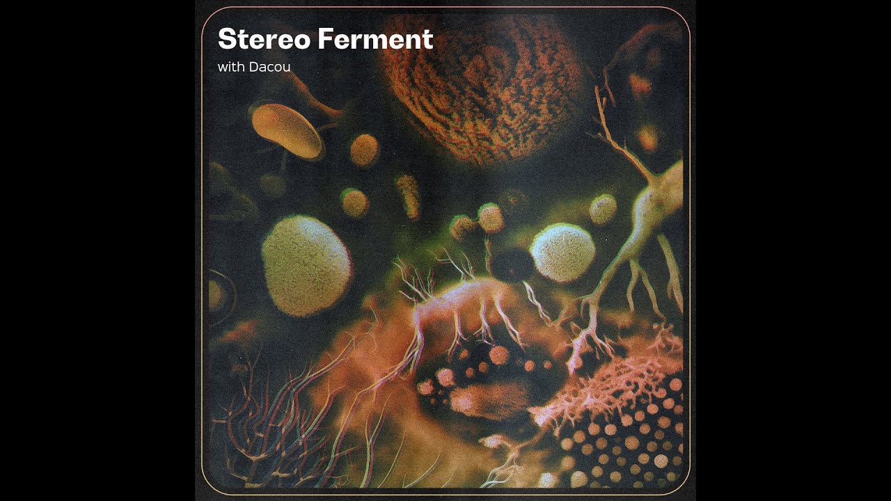 STEREO FERMENT #44: Tropical, Raï, South Asian, Acid
