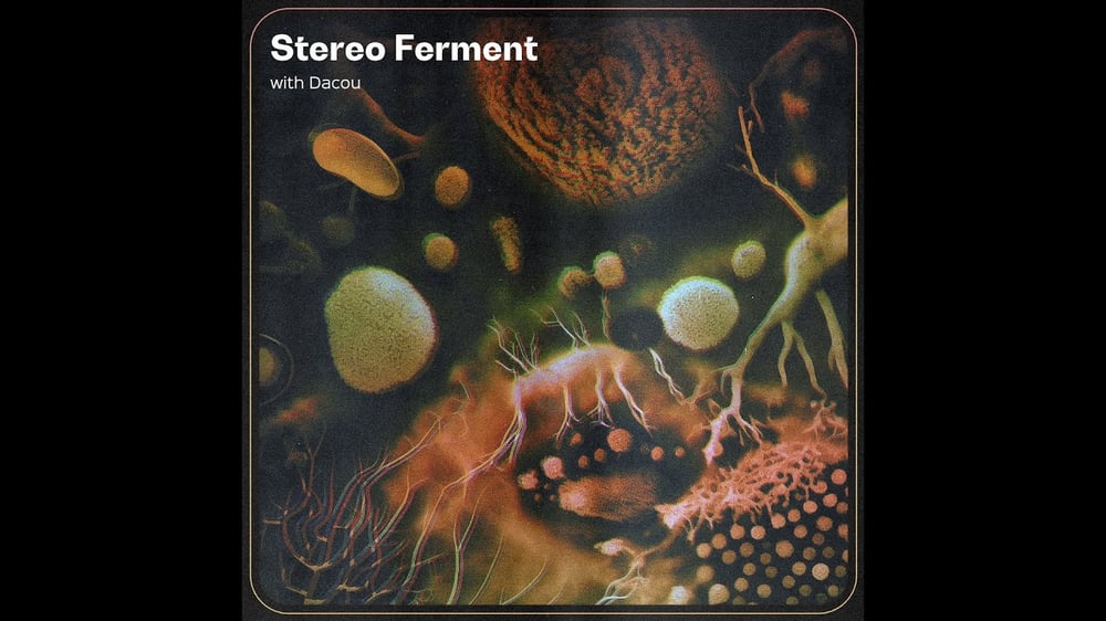 STEREO FERMENT #44: Tropical, Raï, South Asian, Acid