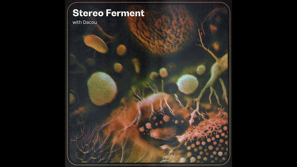 STEREO FERMENT #44: Tropical, Raï, South Asian, Acid