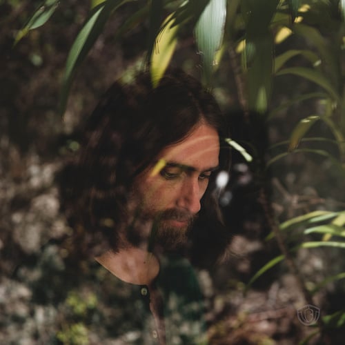 I Like It Here - Digital