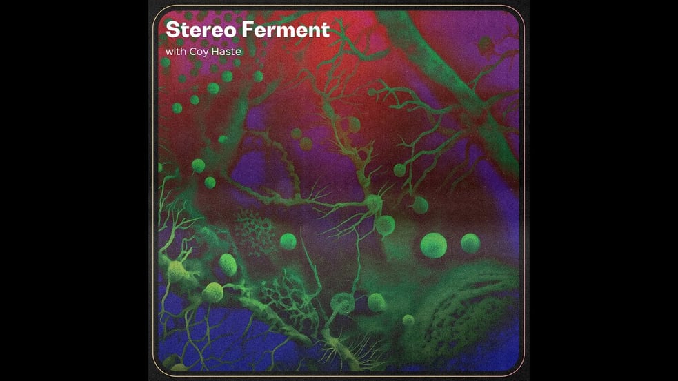 STEREO FERMENT #45: Hard Italo, Disco, Trance, House