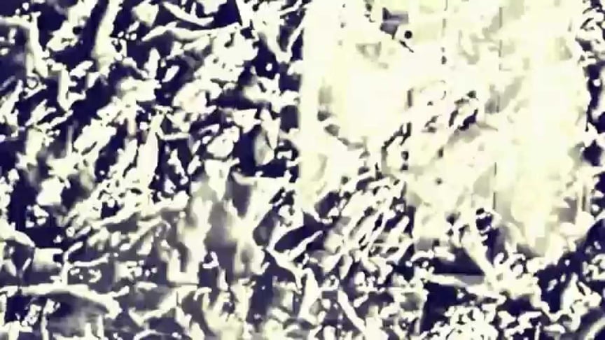 Numb (Phaeleh Remix) - Sam Brookes