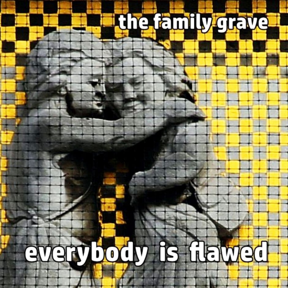 Everybody Is Flawed (single)