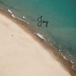 Joy