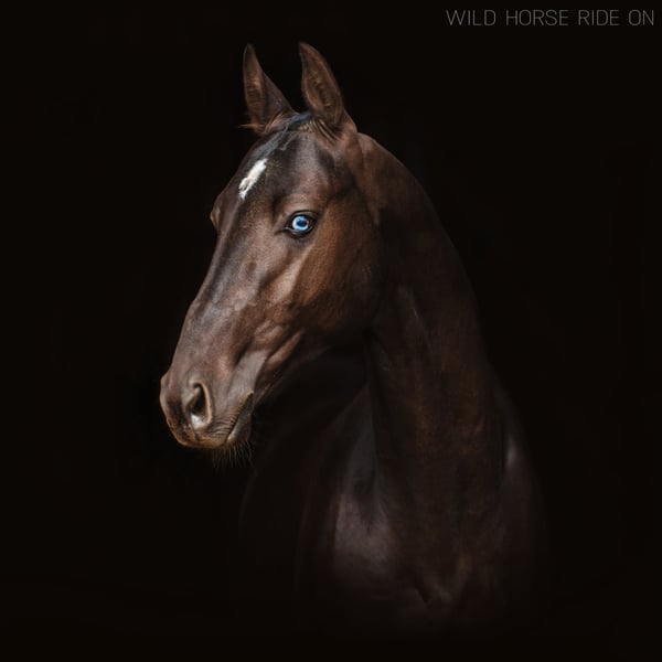 Wild Horse Ride On - Digital image