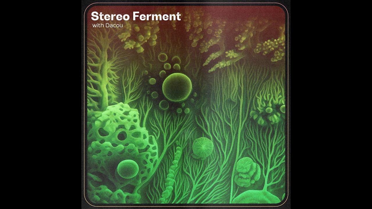 STEREO FERMENT #47: Arab Disco, Italo, Edits, Electronic