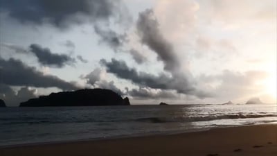 Cole Stacey (feat. Midge Ure) - Fade To Grey