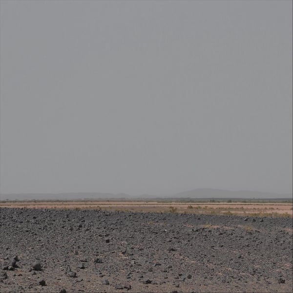 Skylark image