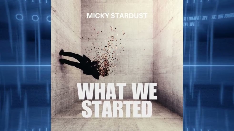 Micky Stardust  - What We Started (Radio Mix)