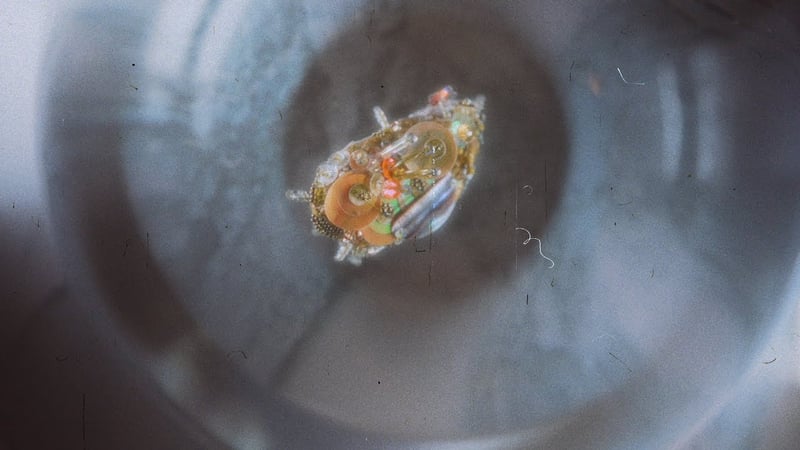 Unfocus Your Eyes - Kyle Andrews