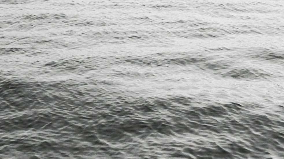 Si Nicol - Coendipity