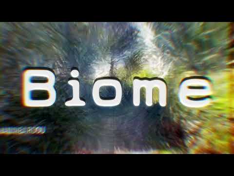 𒅒𒈔TC:03 - Biome𒅒WLC014-WLC01?𒇫𒄆